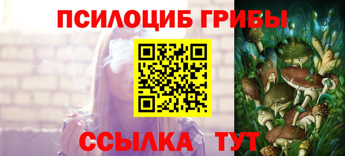 Псилоцибиновые грибы Cubensis  Вход с VPN  Псилоцибиновые грибы ЛСД  Славгород 